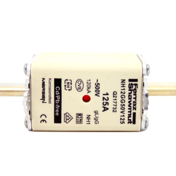 Ferraz, 500V, 125A, NH1, Ceramic Fast Fuse